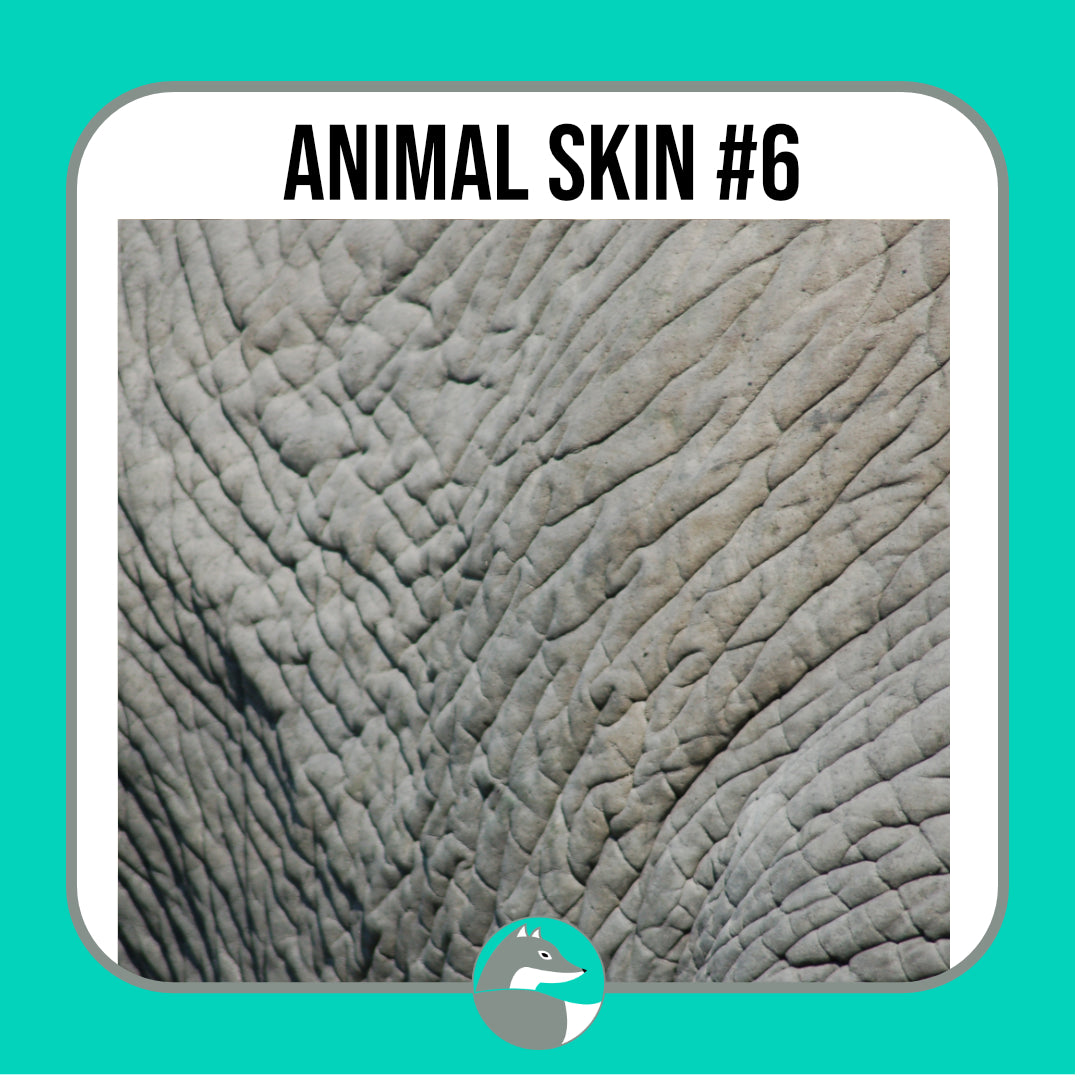 Animal Skin Texture Collection (not seamless) - Silver Fox Vinyl